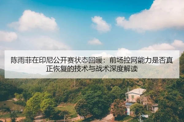 chen-yu-fei-zai-yin-ni-gong-kai-sai-zhuang-tai-hui-nuan-qian-chang-kong-wang-neng-li-shi-fou-zhen-zheng-hui-fu-de-ji-2-460.jpg